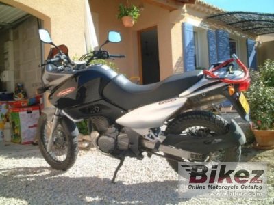 1999 suzuki xf 650 freewind photo